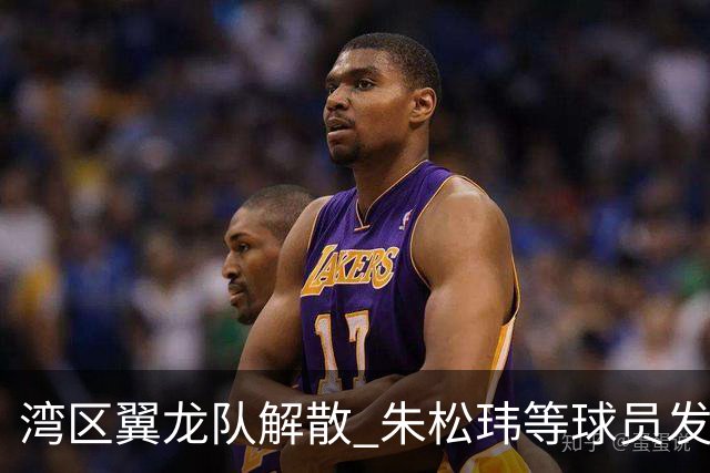 湾区翼龙队解散 朱松玮等球员发布声明维权